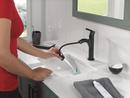 Single Handle Monoblock Bathroom Sink Faucet in Matte Black 
