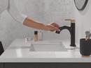 Single Handle Monoblock Bathroom Sink Faucet in Matte Black with Champagne Bronze 