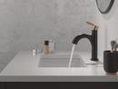 Single Handle Monoblock Bathroom Sink Faucet in Matte Black with Champagne Bronze 