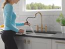 Single Handle Pull Down Kitchen Faucet in Champagne Bronze 