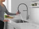 Single Handle Pull Down Kitchen Faucet in Arctic Stainless 