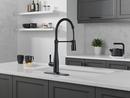 Single Handle Pull Down Kitchen Faucet in Matte Black 