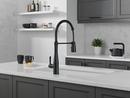 Single Handle Pull Down Kitchen Faucet in Matte Black 