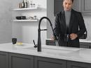 Single Handle Pull Down Kitchen Faucet in Matte Black 