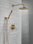 Delta Faucet Champagne Bronze Two Handle Single Function Shower System 