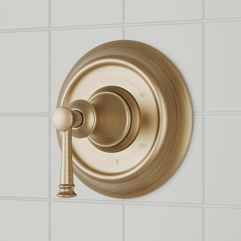 1HDL P/BAL VLV TRIM *BEASL AGBR 