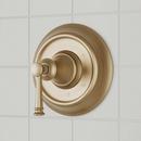 Single Handle Pressure Balancing Valve Trim in Aged Brass
