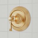 Single Handle Pressure Balancing Valve Trim in Brushed Gold