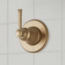 Single Handle Diverter Valve Trim in Aged Brass
