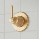 Single Handle Diverter Valve Trim in Brushed Gold