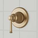 Single Handle Volume Control Valve Trim in Aged Brass