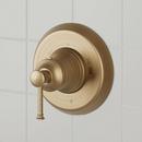 Single Handle Theromstatic Valve Trim in Aged Brass