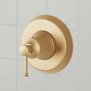 Single Handle Theromstatic Valve Trim in Brushed Gold