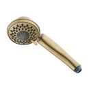 Multi Function Hand Shower in Aged Brass