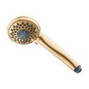 Multi Function Hand Shower in Brushed Gold
