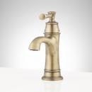 Single Handle Monoblock Bahroom Sink Faucet in Aged Brass