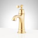 Single Handle Monoblock Bahroom Sink Faucet in Brushed Gold