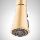 Signature Hardware Brushed Gold Single Handle Pull Down Kitchen Faucet 