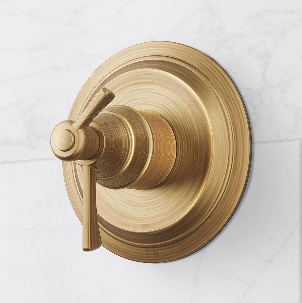 1HL DUAL CNTRL P/BAL TRIM L/HDL AGBR 