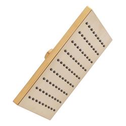 Single Function Showerhead in Brushed Gold