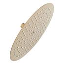 Single Function Showerhead in Brushed Gold