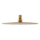 Signature Hardware Brushed Gold Single Function Showerhead 