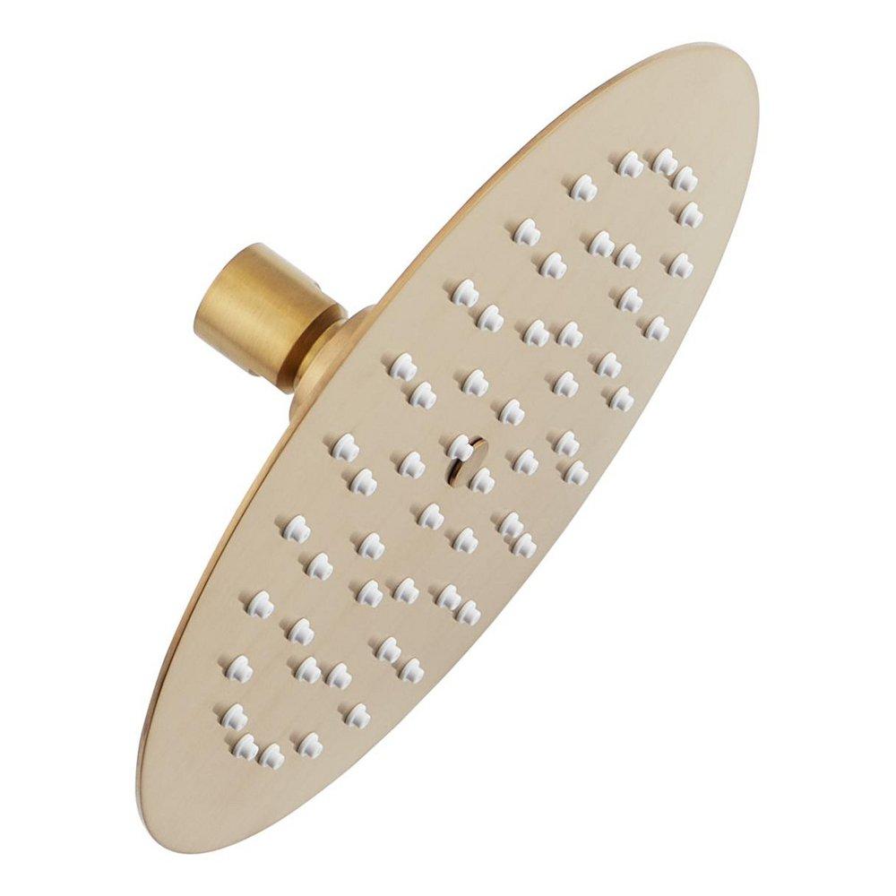 Signature Hardware Brushed Gold Single Function Showerhead 
