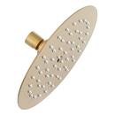 Single Function Showerhead in Brushed Gold
