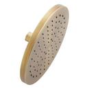 Single Function Showerhead in Aged Brass
