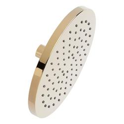 Single Function Showerhead in Polished Brass