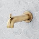 Diverter Tub Spout in Aged Brass