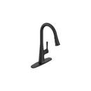 SOUTHPORT 1H PULL-DOWN KITCHEN 