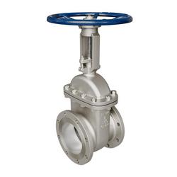 2 in. 150# Stainless Steel Flanged Gate Valve
