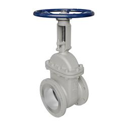 10 in. 150# Carbon Steel Flanged Gate Valve