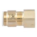 3/8 x 3/8 in. Brass Flare  Female Connector Ffl Lead Free 