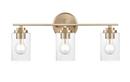 22 in. 3-Light Vanity Fixture in Modern Gold 