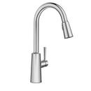 Single Handle Pull Down Kitchen Faucet in Spot Resist &trade; Stainless 