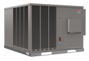 Rheem PKG GE 208/230/1 100K SS R454B 