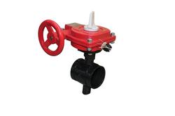 2-1/2 in. Ductile Iron Grooved Gear Operator Butterfly Valve