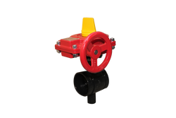2 in. Ductile Iron Grooved Gear Operator Butterfly Valve