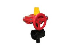 4 in. Ductile Iron Grooved Gear Operator Butterfly Valve