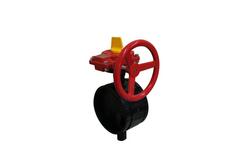 8 in. Ductile Iron Grooved Gear Operator Butterfly Valve