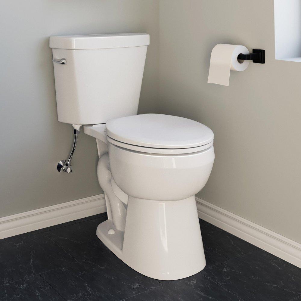 16-1/8 in. Round Toilet Bowl in White 