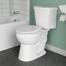 16-1/8 in. Round Toilet Bowl in White 