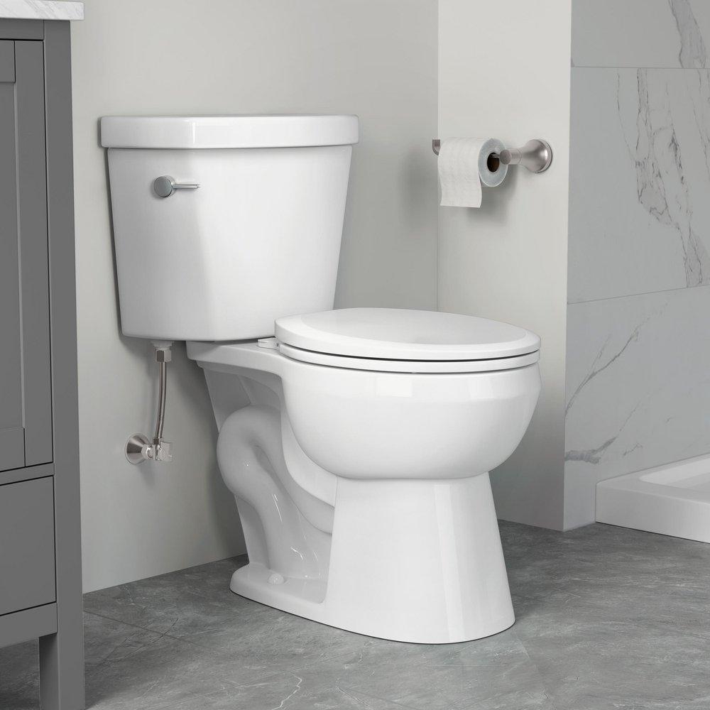 1.0 gpf/1.28 gpf Dual Flush Toilet Tank in White with Lever 