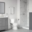 1.0 gpf/1.28 gpf Dual Flush Toilet Tank in White with Lever 