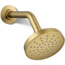 Single Function Showerhead in Vibrant Brushed Moderne Brass 