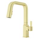 Single Handle Pull Down Kitchen Faucet in Brushed Gold 