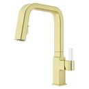 Single Handle Pull Down Kitchen Faucet in Brushed Gold 