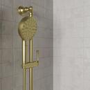 Multi Function Hand Shower in Brushed Gold (Shower Hose Sold Separately) 